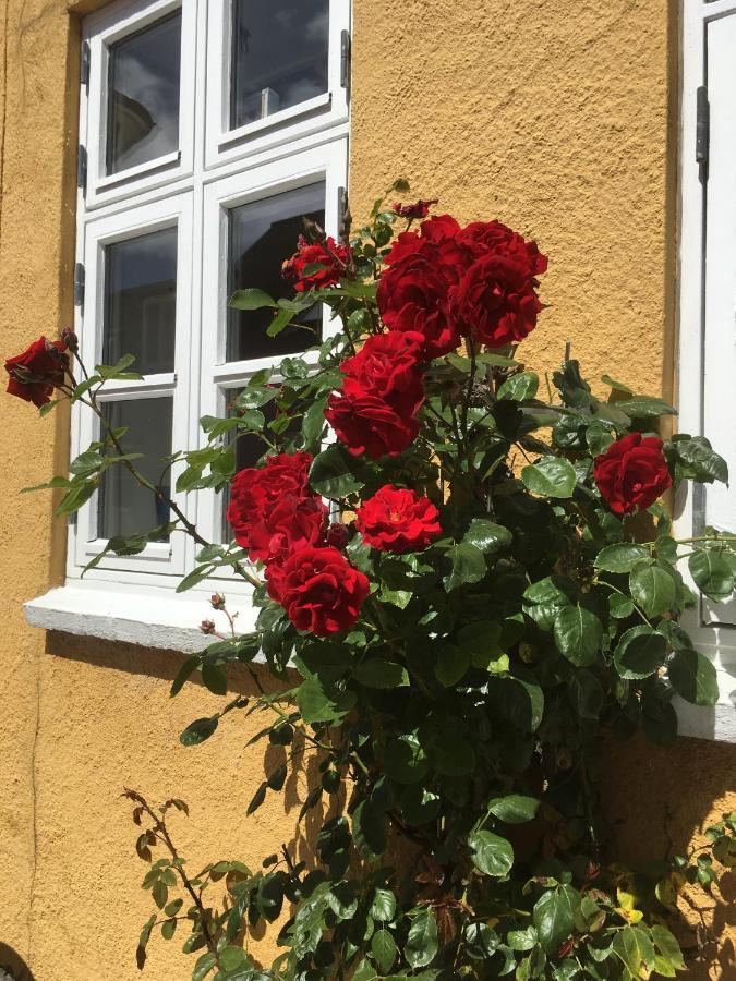 Jan Og Inges Bed & Breakfast Middelfart Zewnętrze zdjęcie